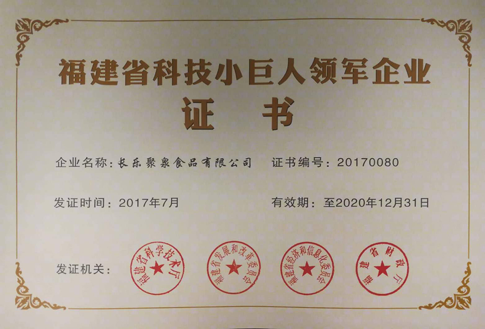 福建省科技小巨人领军企业