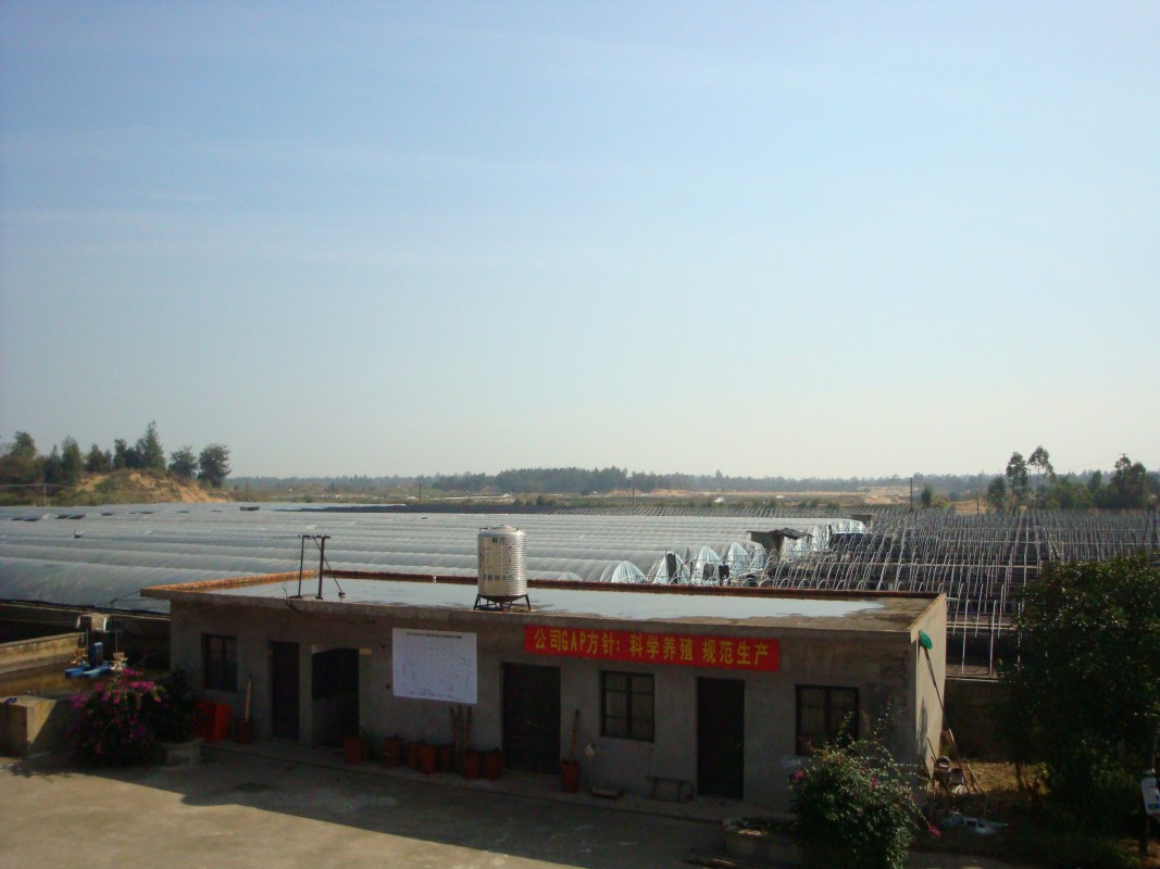 示范区养殖基地