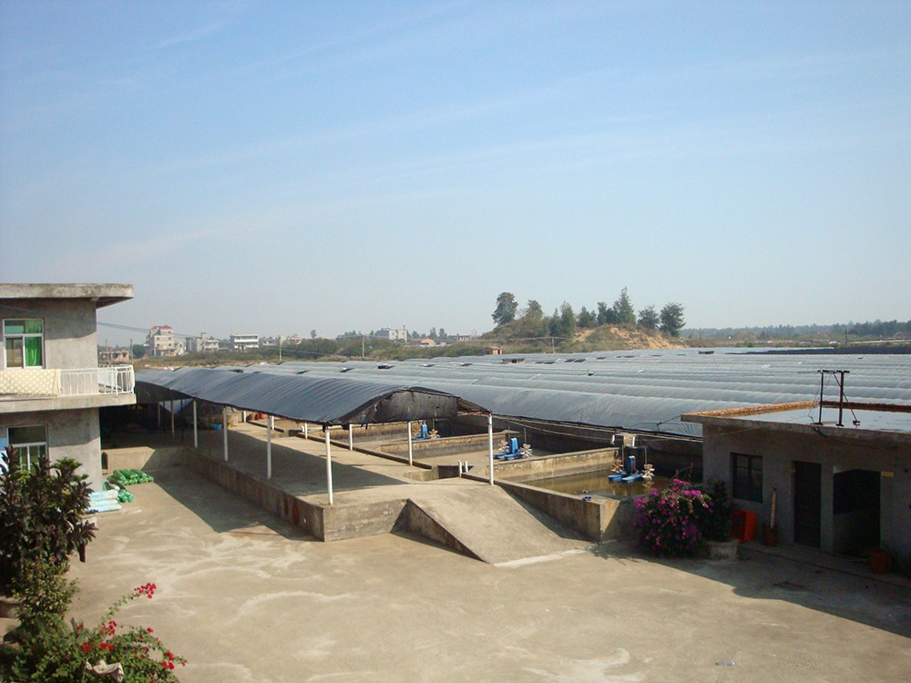 示范区养殖基地